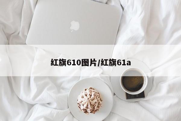 红旗610图片/红旗61a
