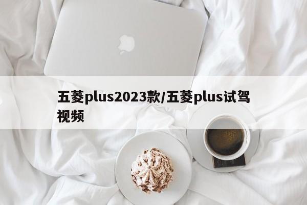 五菱plus2023款/五菱plus试驾视频