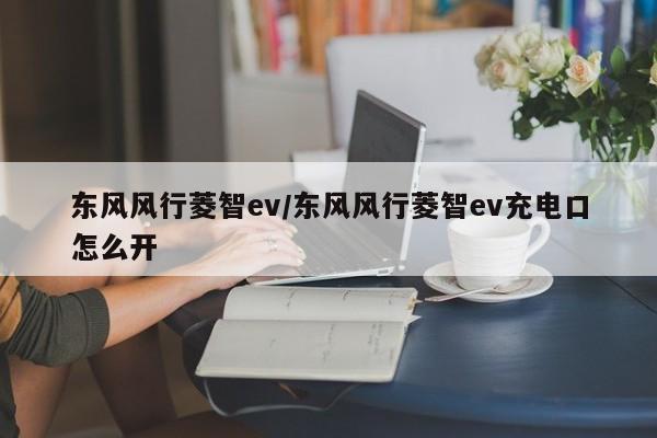 东风风行菱智ev/东风风行菱智ev充电口怎么开