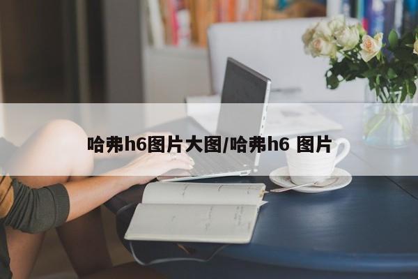 哈弗h6图片大图/哈弗h6 图片